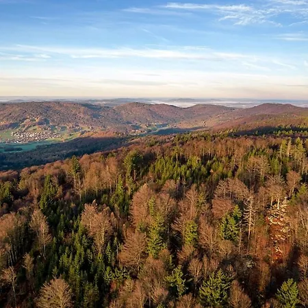 Nr 17a3, Hagbuegerl, Bayr Wald *
