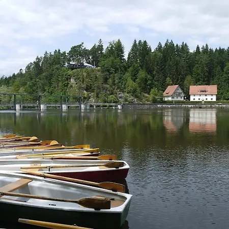Сasa de vacaciones Nr 17a3, Hagbügerl, Bayr Wald Waldmünchen