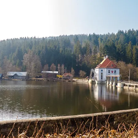 Σπίτι διακοπών Nr 17a3, Hagbuegerl, Bayr Wald *