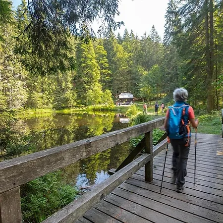 Сasa de vacaciones Nr 17a3, Hagbügerl, Bayr Wald