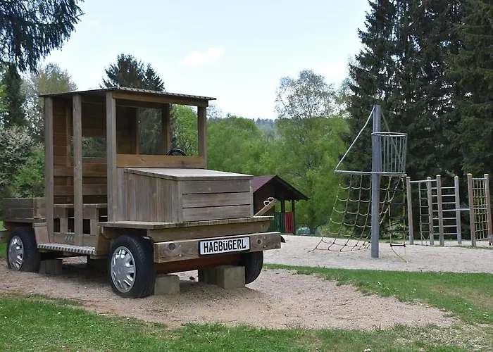 Nr 17a3, Hagbügerl, Bayr Wald Waldmünchen